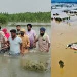 पंजाब में बाढ़