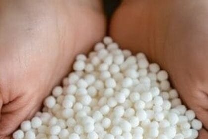 व्रत में खाने वाला साबूदाना कैसे बनता है?