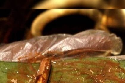कत्था खाने के फायदे जान कर आप भी रह जायेंगे दंग