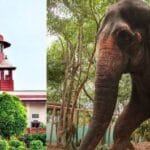 वनतारा मामले में SIT ने सुप्रीम कोर्ट में सौंपी अपनी रिपोर्ट