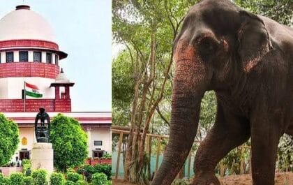 वनतारा मामले में SIT ने सुप्रीम कोर्ट में सौंपी अपनी रिपोर्ट