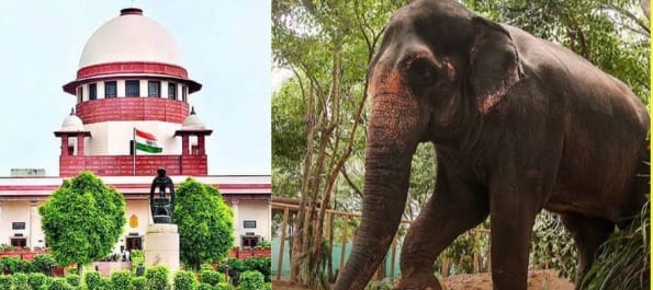 वनतारा मामले में SIT ने सुप्रीम कोर्ट में सौंपी अपनी रिपोर्ट
