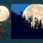 आज रात सुपरमून चमकेगा