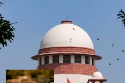 आवारा कुत्तों के मुद्दे पर सुप्रीम कोर्ट की तीखी टिप्पणी
