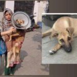 "वो सिर्फ कुत्ता नहीं, मेरा बच्चा है"