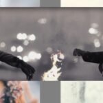 कोल्ड डे अलर्ट