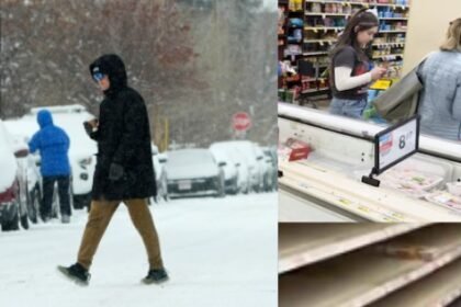 अमेरिका सर्दी का तूफान अलर्ट