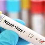 पश्चिम बंगाल में निपाह वायरस
