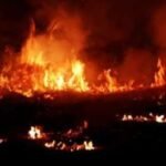 कोलकाता वेयरहाउस अग्निकांड