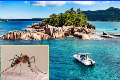 क्लाइमेट चेंज और ह्यूमिडिटी का असर