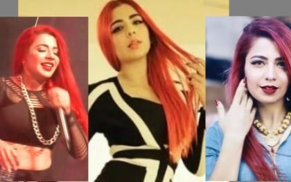 जैस्मीन सैंडलस दिल्ली कॉन्सर्ट विवाद