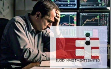 Elcid Investments शेयर गिरावट