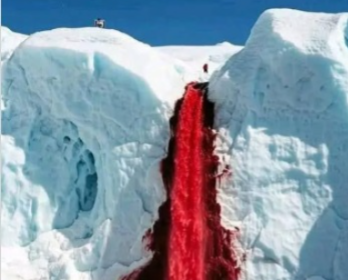 अंटार्कटिका के 'ब्लड फॉल्स' का रहस्य सुलझा