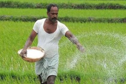 Strait of Hormuz crisis affecting global fertilizer supply and increasing risk of food price inflation