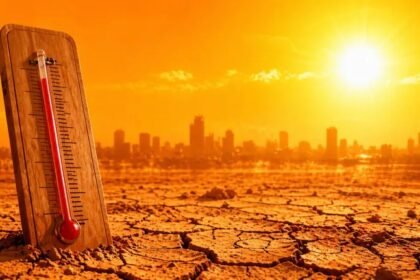 उत्तर भारत में 'लू' का तांडव