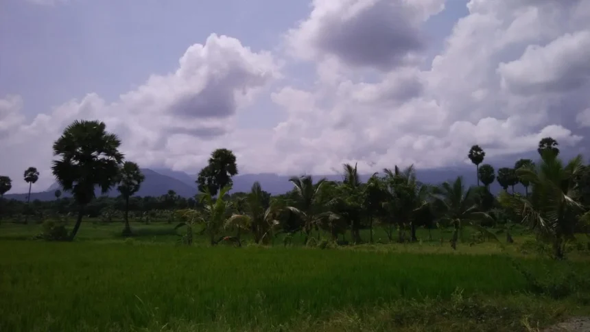 मानसून क्या है, Monsoon Explained, What is Monsoon, India Monsoon 2026, IMD Monsoon Update, दक्षिण पश्चिम मानसून, मॉनसून कैसे आता है, मानसून की बारिश, Monsoon Arrival India, Rainfall News, Weather Update, Monsoon Facts, IMD Weather Forecast, Monsoon Forecast, Monsoon News Hindi, बारिश का विज्ञान, प्री मानसून, Monsoon Rainfall, India Weather News, Monsoon Meaning, Monsoon Arrival Date, Weather News Hindi, मानसून अपडेट, मानसून की जानकारी, भारतीय मौसम विभाग